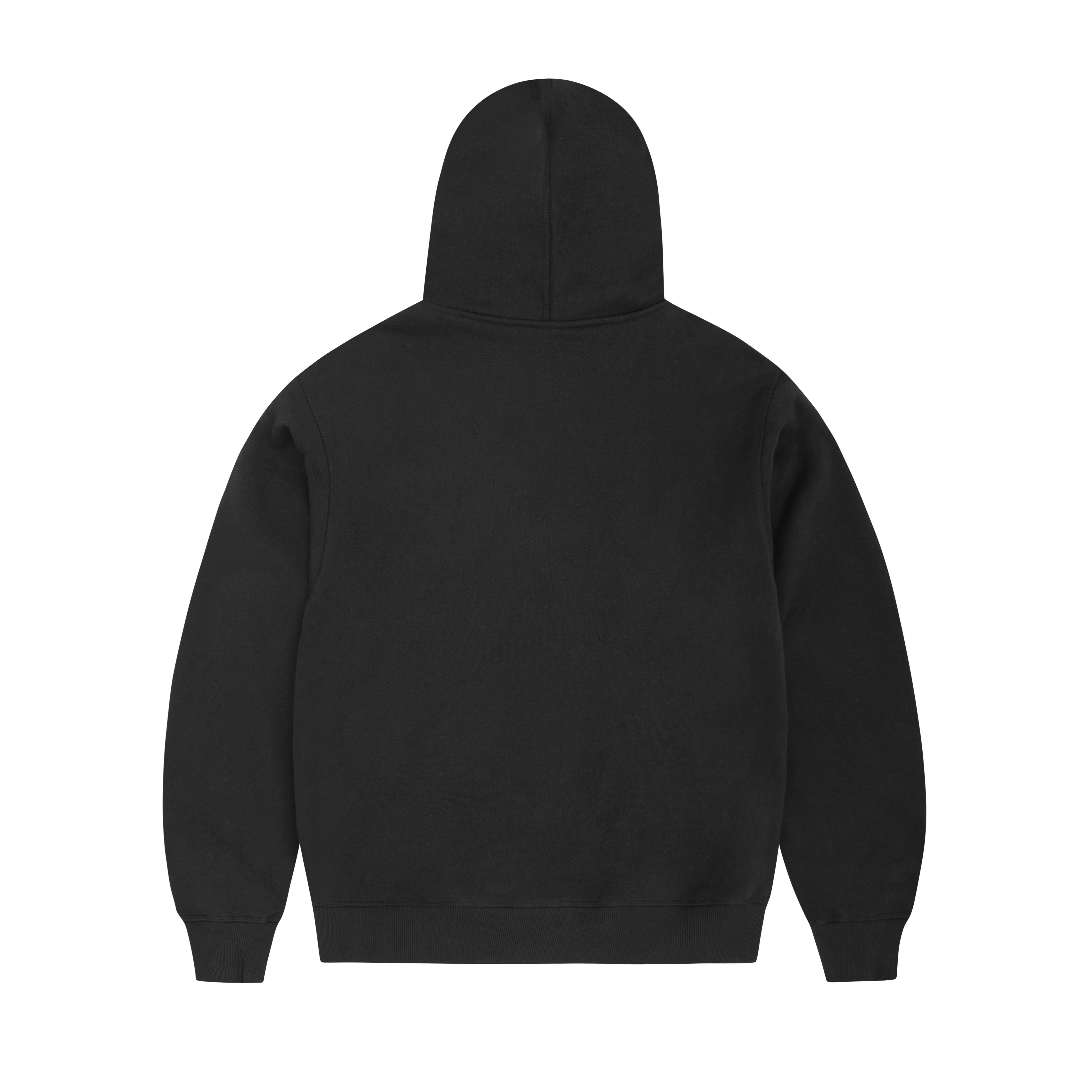 ARCH SHIELD ZIP HOODIE [BLACK]