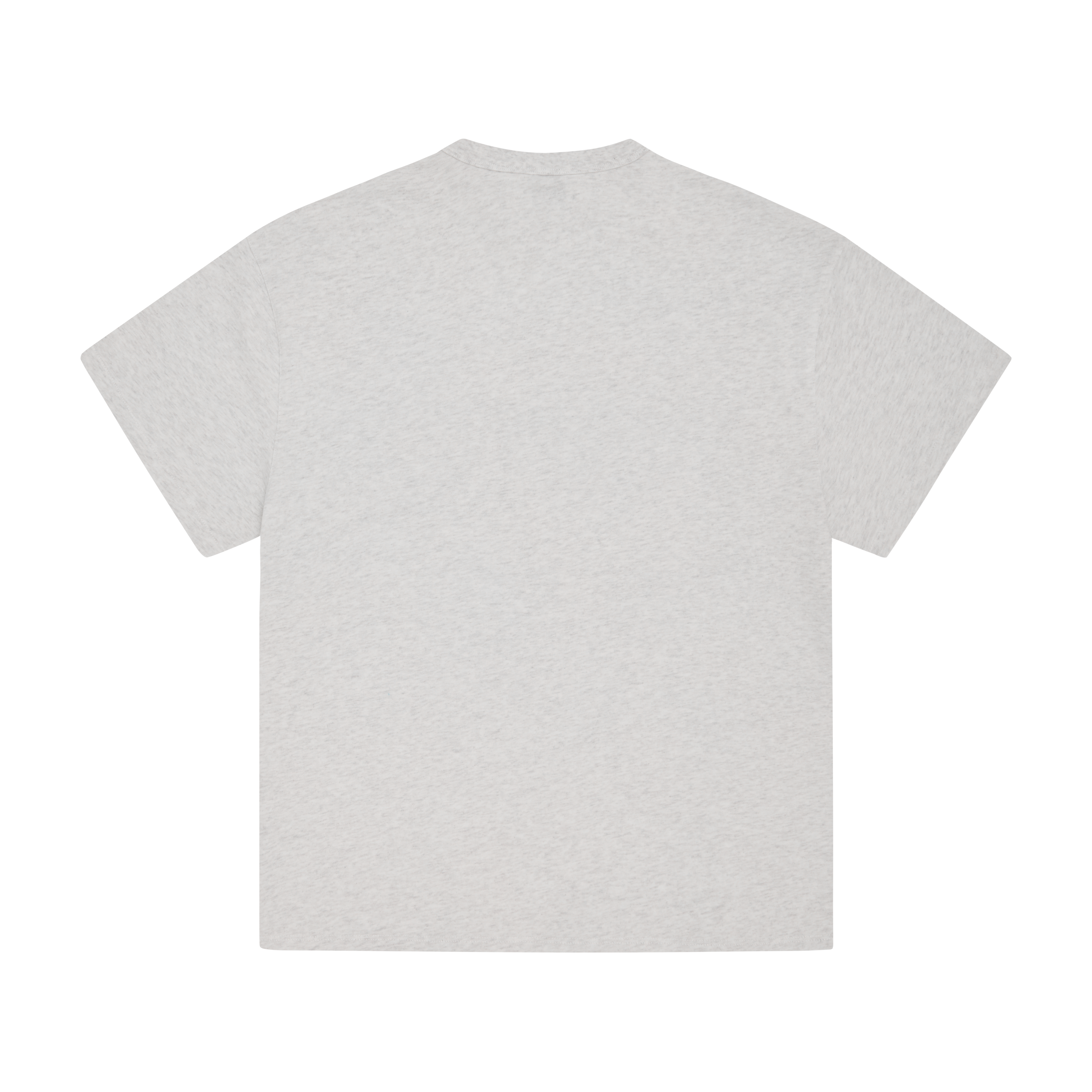 LION BOXY HEAVYWEIGHT TEE [LIGHT HEATHER]